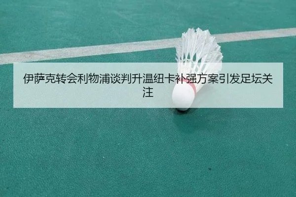 伊萨克转会利物浦谈判升温纽卡补强方案引发足坛关注