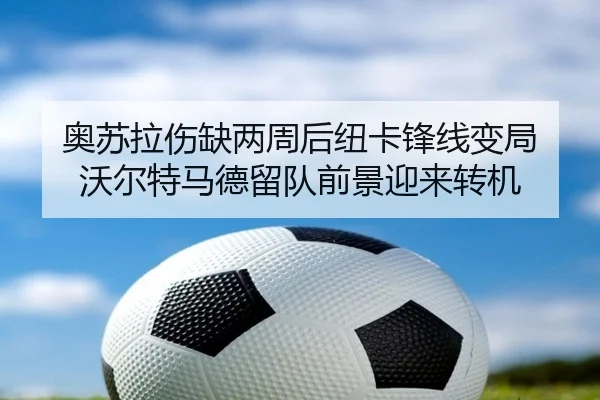 奥苏拉伤缺两周后纽卡锋线变局 沃尔特马德留队前景迎来转机